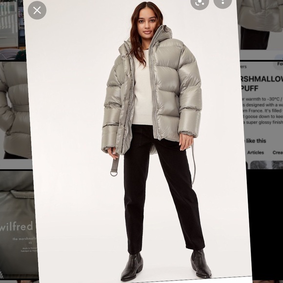 Aritzia Jackets & Coats Wilfred Free The Marshmallow Puffer Tna